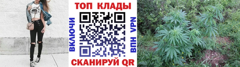 Где найти наркотики Белокуриха МАРИХУАНА  Амфетамин  СОЛЬ  ГАШИШ  Метадон  Мефедрон 