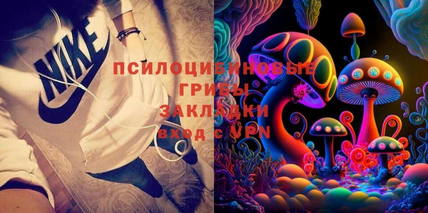 эйфоретик Аркадак