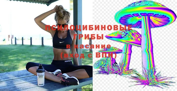 эйфоретик Аркадак
