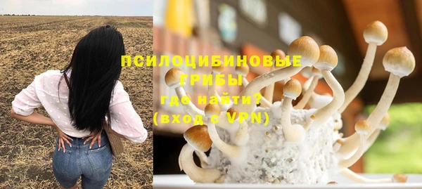 эйфоретик Аркадак